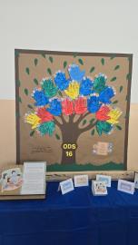 WhatsApp Image 2025-11-17 at 14.32.52