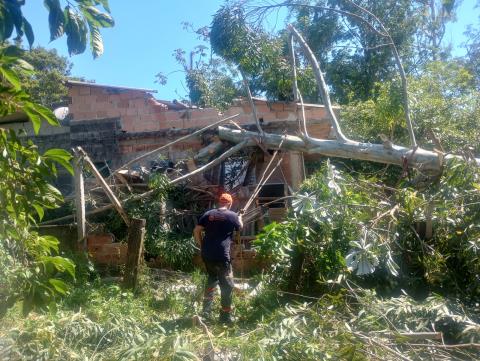 WhatsApp Image 2025-12-29 at 16.00.45