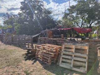 WhatsApp Image 2025-06-30 at 14.30.05