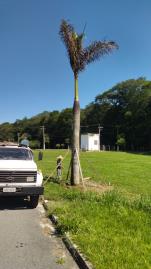 WhatsApp Image 2026-03-17 at 14.38.23