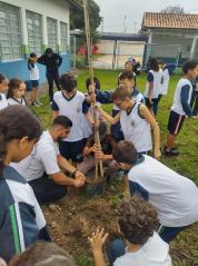 WhatsApp Image 2025-06-09 at 16.31.22