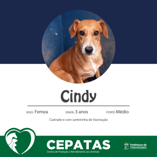 Cindy-01