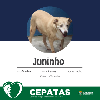 juninho-01