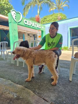 WhatsApp Image 2026-02-03 at 14.12.55