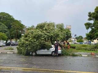 WhatsApp Image 2023-02-10 at 17.07.55