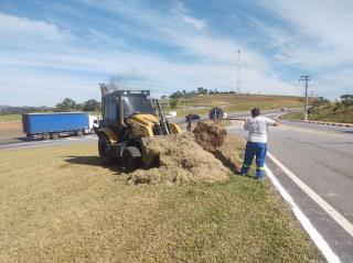 WhatsApp Image 2025-05-20 at 17.32.20