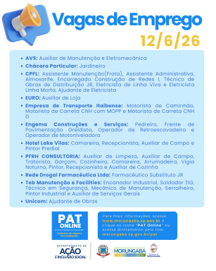 PAT vagas  (20)