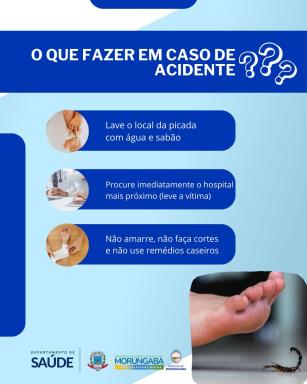 escorpiao 3