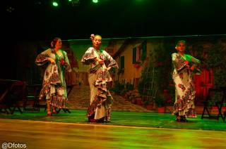 flamenco(1)
