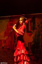 flamenco(2)
