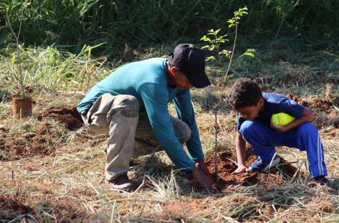 Alunos do 1º ano da rede municipal plantam mudas em projeto ambiental