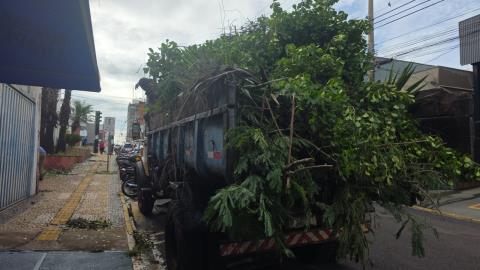 WhatsApp Image 2026-02-02 at 14.46.36 (1)