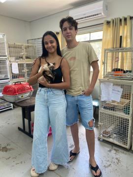 ae4ac7e7-2819-4124-a988-2d4429250200