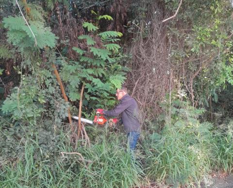 Área reflorestada há 20 anos no Ribeirão Santa Rita recebe manutenção