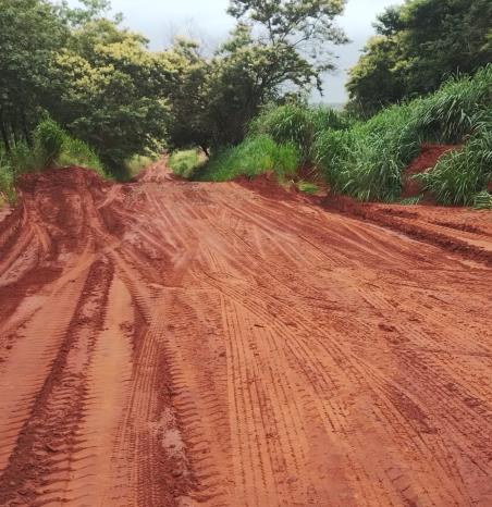 WhatsApp Image 2026-02-05 at 15.56.16