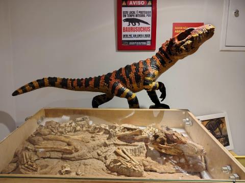 Fóssil do Museu de Paleontologia destaca Fernandópolis internacionalmente