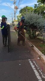 WhatsApp Image 2026-03-31 at 07.50.22 (1)