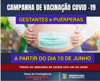 imagem gestante