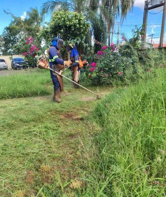 Roçagem avança em Fernandópolis nesta segunda semana de abril