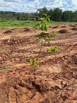 ea9a71fc-ff26-4b39-9e59-d99a9b618baf