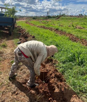 bf578c35-08a8-491f-8666-26de17017493