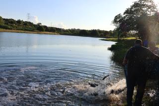 Prefeitura introduz peixes na Represa para o Festival de Pesca