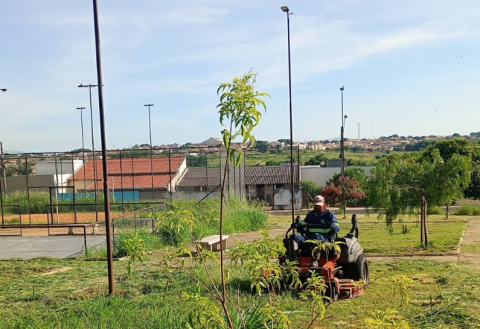 Em uma semana prefeitura roça 140 mil metros quadrados