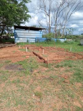 WhatsApp Image 2025-12-17 at 08.29.06