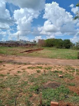 WhatsApp Image 2025-12-17 at 08.29.30