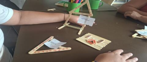 WhatsApp Image 2026-01-19 at 11.10.01 (1)