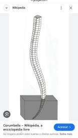 WhatsApp Image 2026-01-23 at 08.28.55 (1)