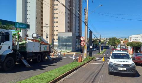 WhatsApp Image 2026-03-27 at 11.04.38