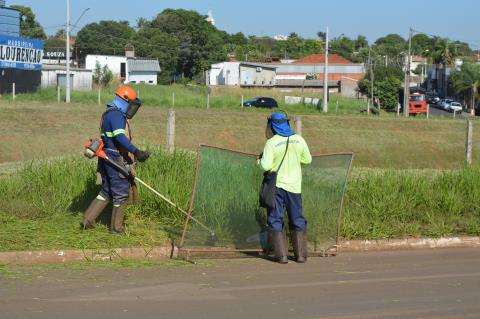 Roçagem em abril atinge a 202 mil metros quadrados