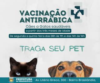Cães e Gatos devem ser vacinados contra a Raiva