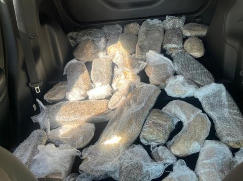 WhatsApp Image 2026-03-02 at 10.11.48