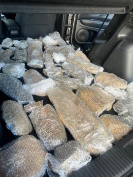 WhatsApp Image 2026-03-02 at 10.11.56