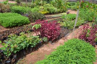 fotos (3)