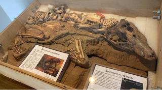 WhatsApp Image 2025-05-27 at 14.15.36