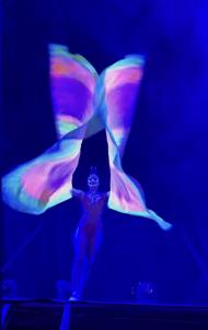 Circo Mágico da Fantasia