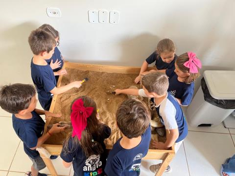 Museu de Paleontologia - 2026