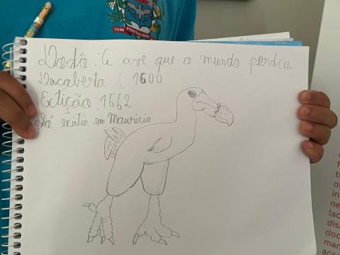Dodô