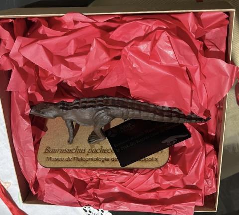 Baurusuchus para embaixador