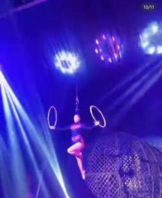 Circo Mágico da Fantasia