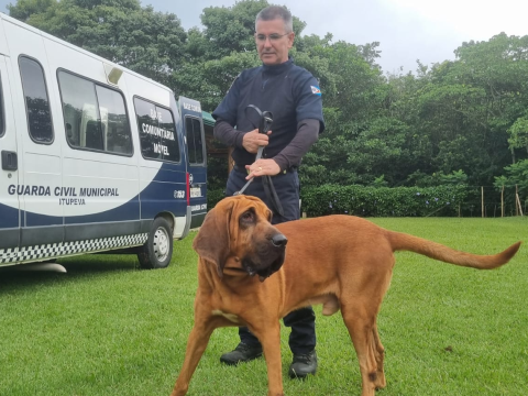 Canil da GCM de Itupeva realiza 1º treinamento de 2026 com foco em buscas por pessoas desaparecidas em áreas de mata