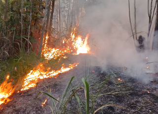 Defesa Civil alerta para áreas de risco de incêndio no município e importância da prevenção