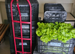 Parceria entre Prefeitura e Condomínios Logísticos promove sustentabilidade e apoio social