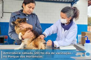 Neste s&aacute;bado (20), mais de 120 c&atilde;es e gatos foram vacinados contra a raiva em Itupeva