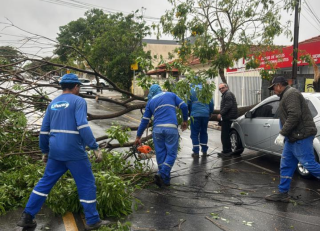 Após fortes chuvas e ventania, Prefeitura trabalha para minimizar impactos pela cidade