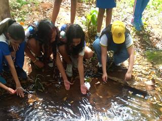 Visita educativa leva alunos da Cemeb José Patrignani a atrativos turísticos do município