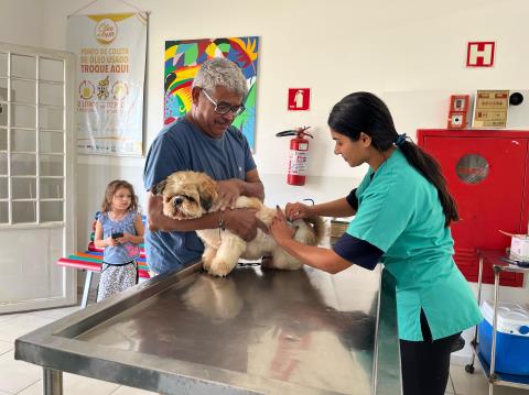 Proteção animal: novas vagas liberadas para vacinação antirrábica